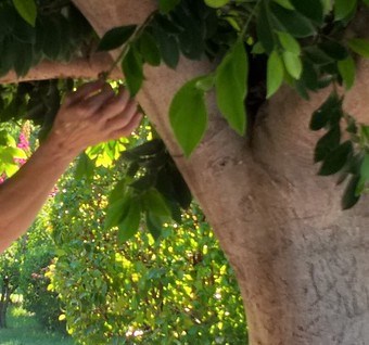 ασκληπειος2